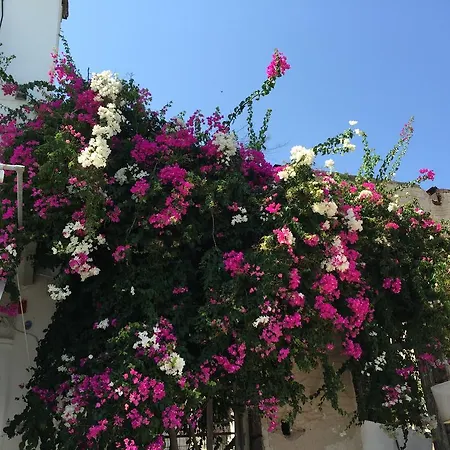 Methanion Hotel Méthana