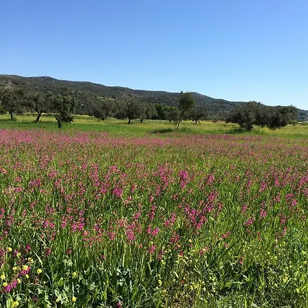 Hotel Methanion Méthana