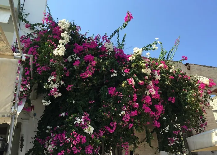 Methanion Hotell Méthana