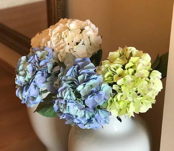 فندق Methanion 2*