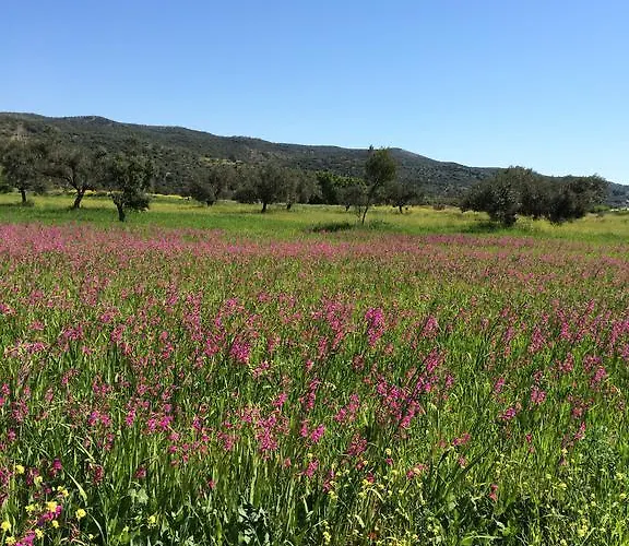 Ξενοδοχείο Methanion Μέθανα